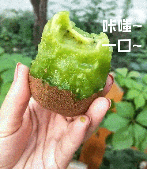 走起！這樣的采摘游玩樂趣千萬(wàn)別錯(cuò)過(guò)——獼猴桃采摘基地合集