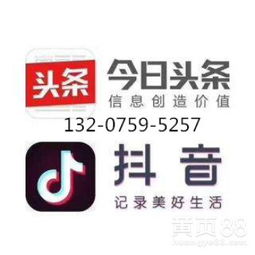 天津地區頭條與抖音廣告服務對接指南 高效觸達與專業開發支持